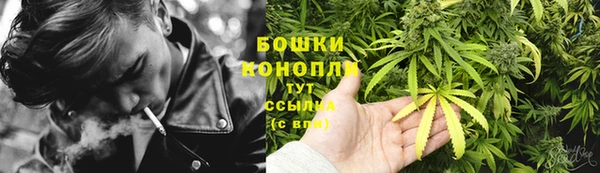 гидра Володарск